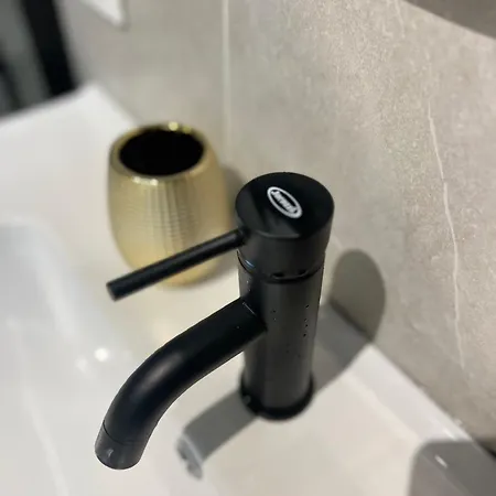 Domus Flaminiae Near Vatican Museums Roma